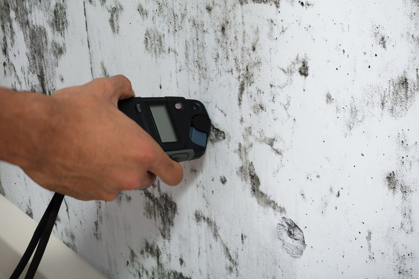 Home inspector measuring wetness of a wall for mold